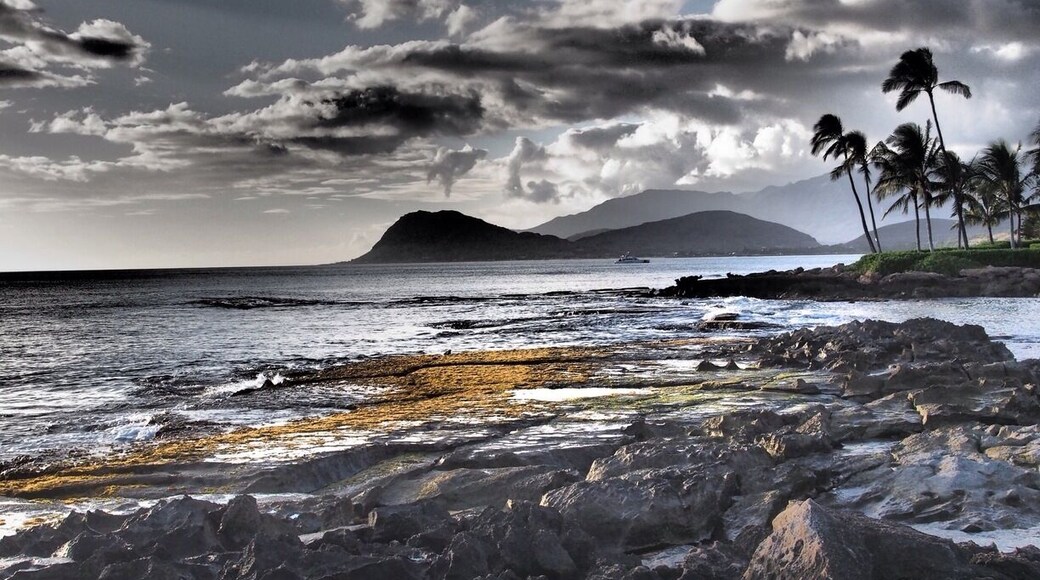 Just before a luau, I snapped this shot in Kapolei and took some creative liberties.