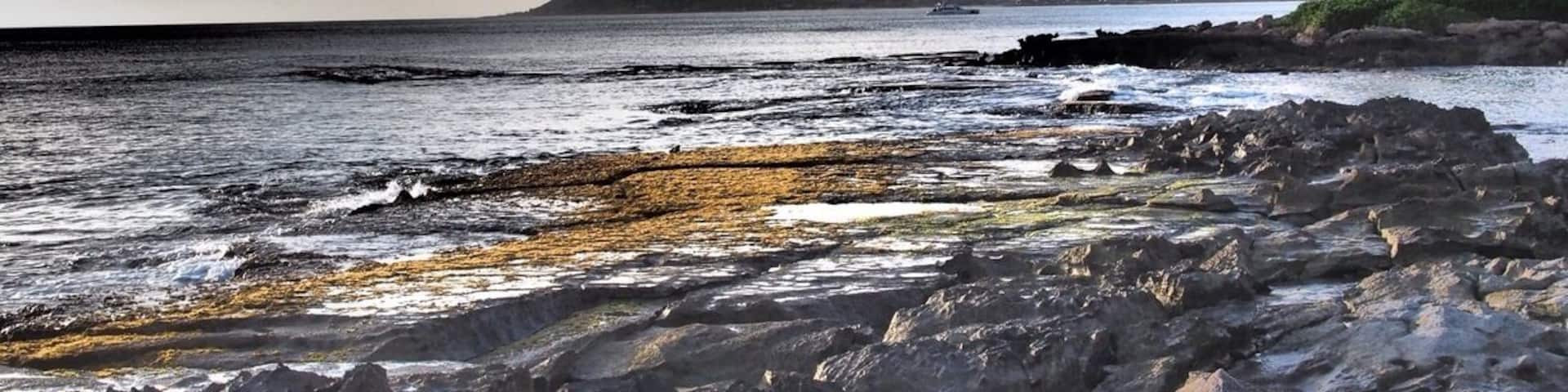 Just before a luau, I snapped this shot in Kapolei and took some creative liberties.