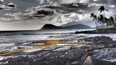 Just before a luau, I snapped this shot in Kapolei and took some creative liberties.