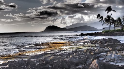 Just before a luau, I snapped this shot in Kapolei and took some creative liberties.