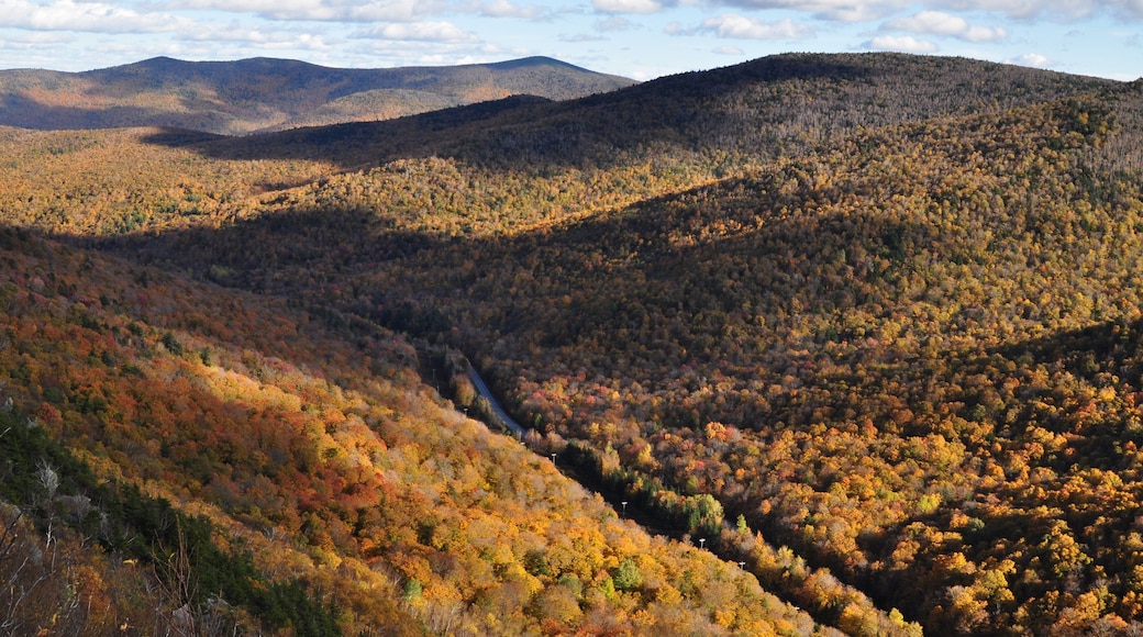 Fall Colors Along the Brandon Gap in the Green Mountains of Vermont