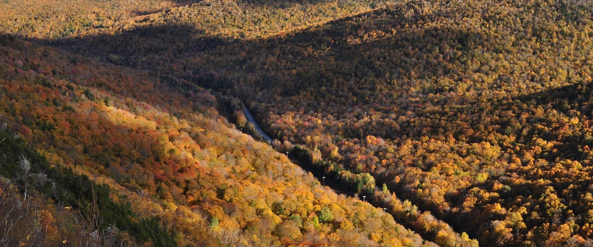 A valley with autumn foliage, a winding road, and distant hills.