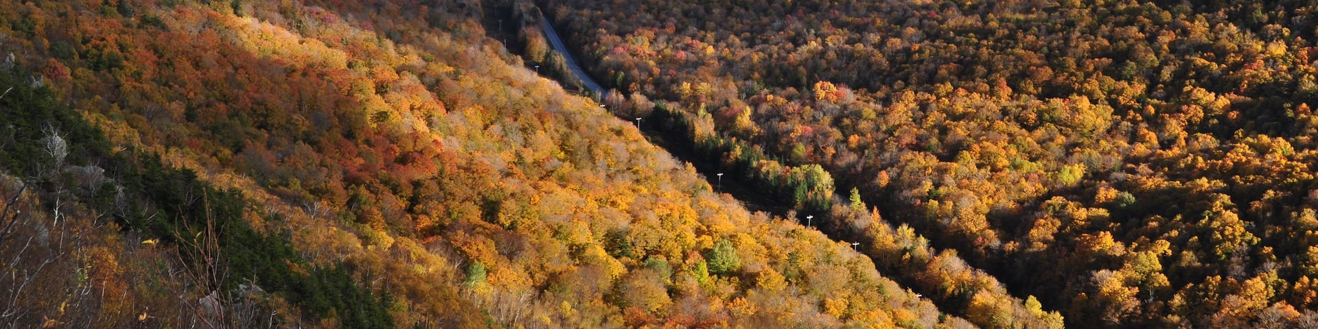A valley with autumn foliage, a winding road, and distant hills.