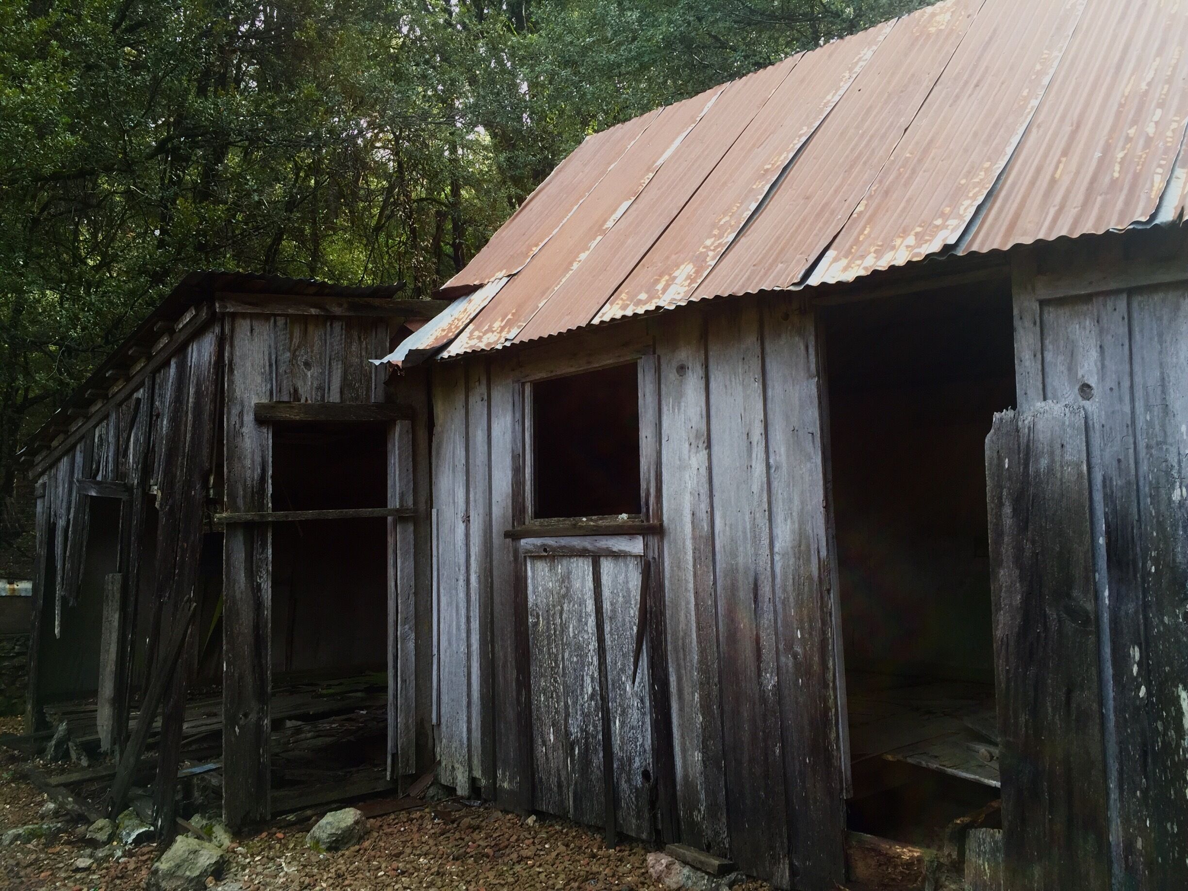 Mary Downen came to Mt. Konocti, in the Kelseyville area, in the late 1800s. She fell in love with the beautiful canyon oak and mountain views and decided she'd stay. She built this cabin in 1903 and subsisted by raising vegetables and kept livestock. She and her family created a signaling system with mirrors so that they could communicate with each other from across the canyon. #Hiking