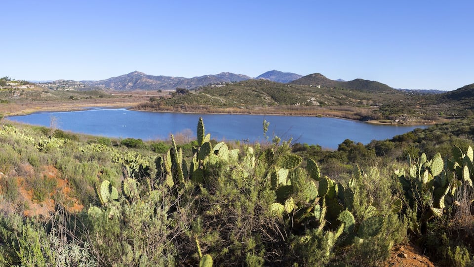 A lake surrounded by mountains and cacti.