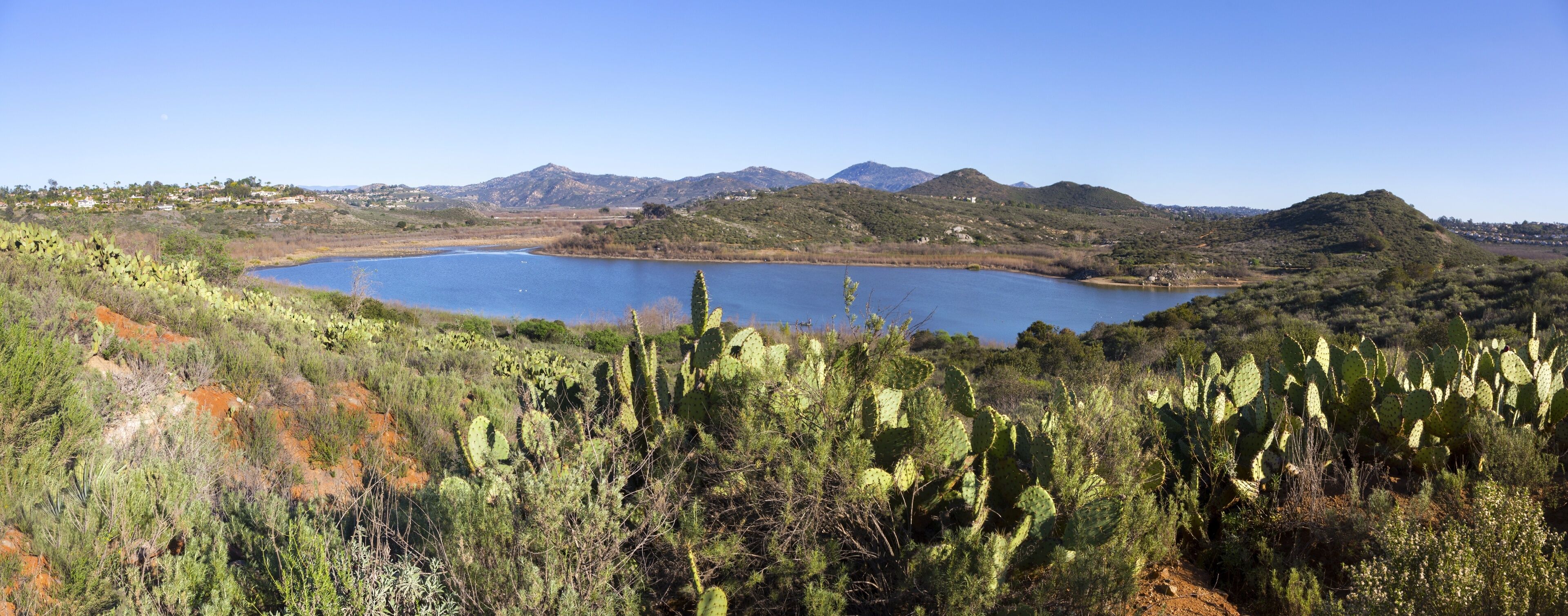 A lake surrounded by mountains and cacti.