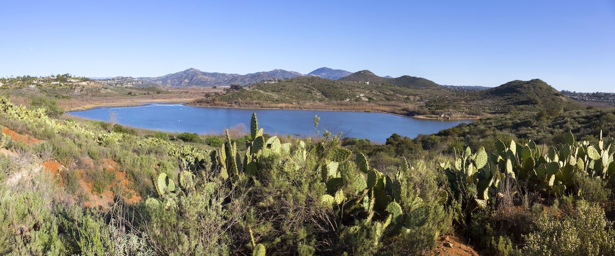 A lake surrounded by mountains and cacti.