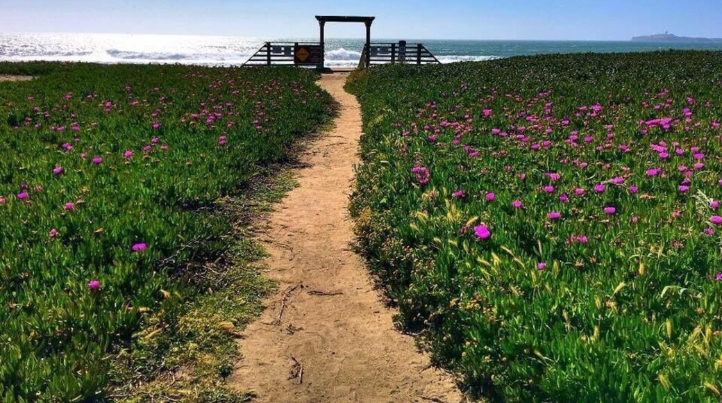 Beautiful beach in half moon bay. The beach has campgrounds, picnic table and bbq grills. Very scenic place. Place may be a little windy but perfect for hot summer day. #BeachTips