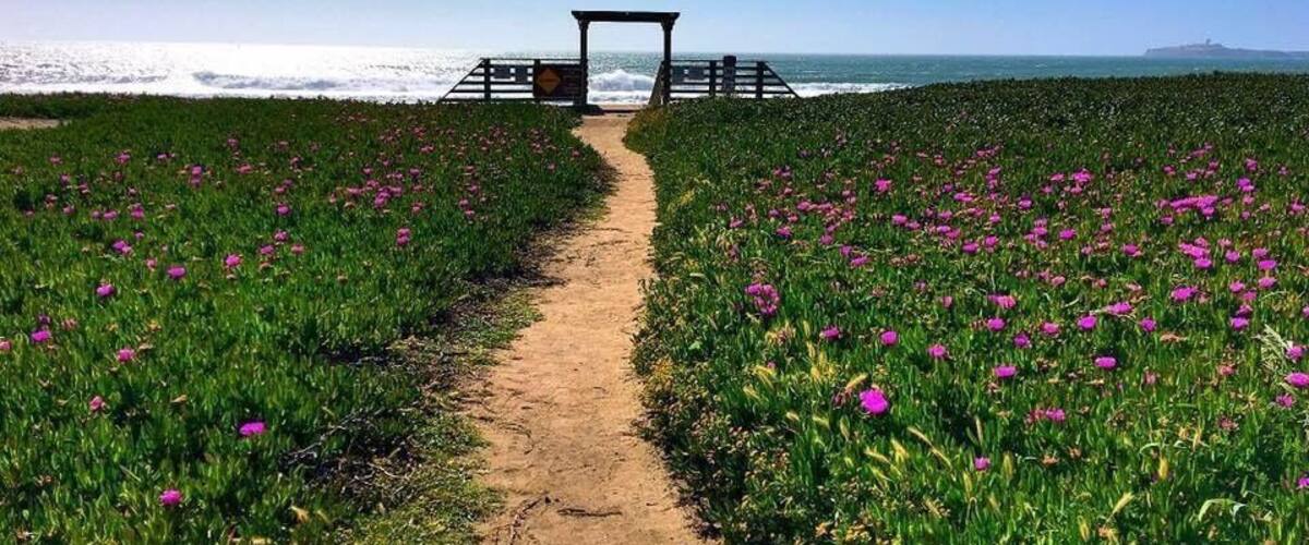Beautiful beach in half moon bay. The beach has campgrounds, picnic table and bbq grills. Very scenic place. Place may be a little windy but perfect for hot summer day. #BeachTips