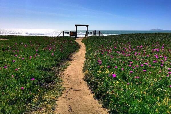 Beautiful beach in half moon bay. The beach has campgrounds, picnic table and bbq grills. Very scenic place. Place may be a little windy but perfect for hot summer day. #BeachTips