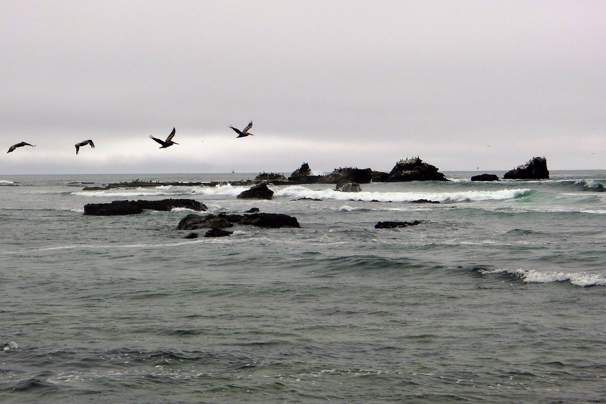 Pillar Point hike to Mavericks.