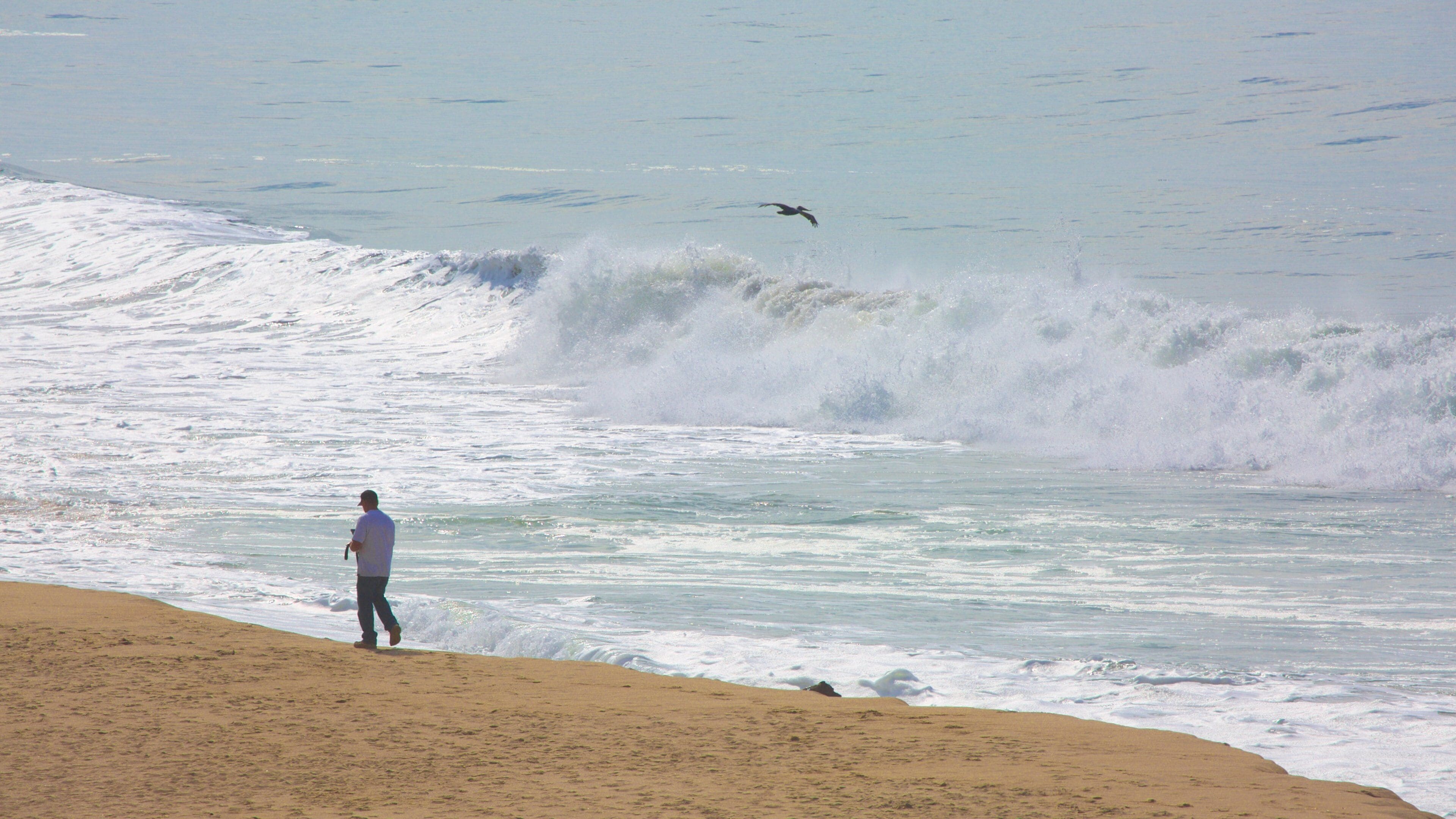 Half Moon Bay showing a beach as well as an individual male