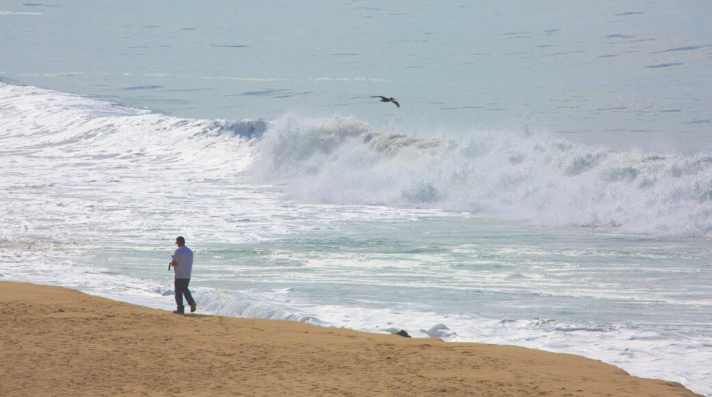Half Moon Bay showing a beach as well as an individual male
