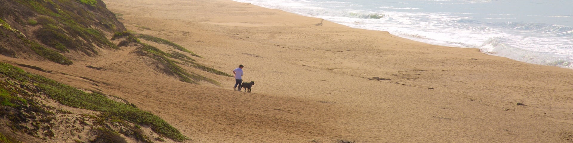 Half Moon Bay ofreciendo vistas generales de la costa y una playa de arena y también un hombre