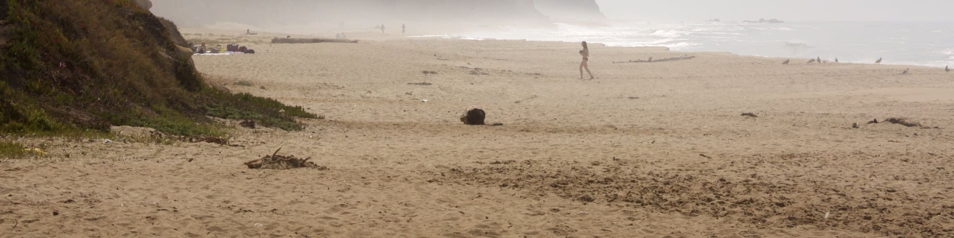 Half Moon Bay which includes a sandy beach and general coastal views as well as an individual femail