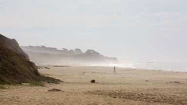 Half Moon Bay which includes a sandy beach and general coastal views as well as an individual femail