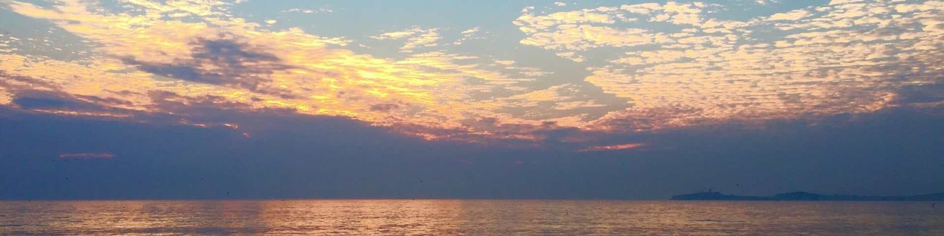 Un coucher de soleil sur une mer calme, avec un oiseau qui vole et une côte lointaine.