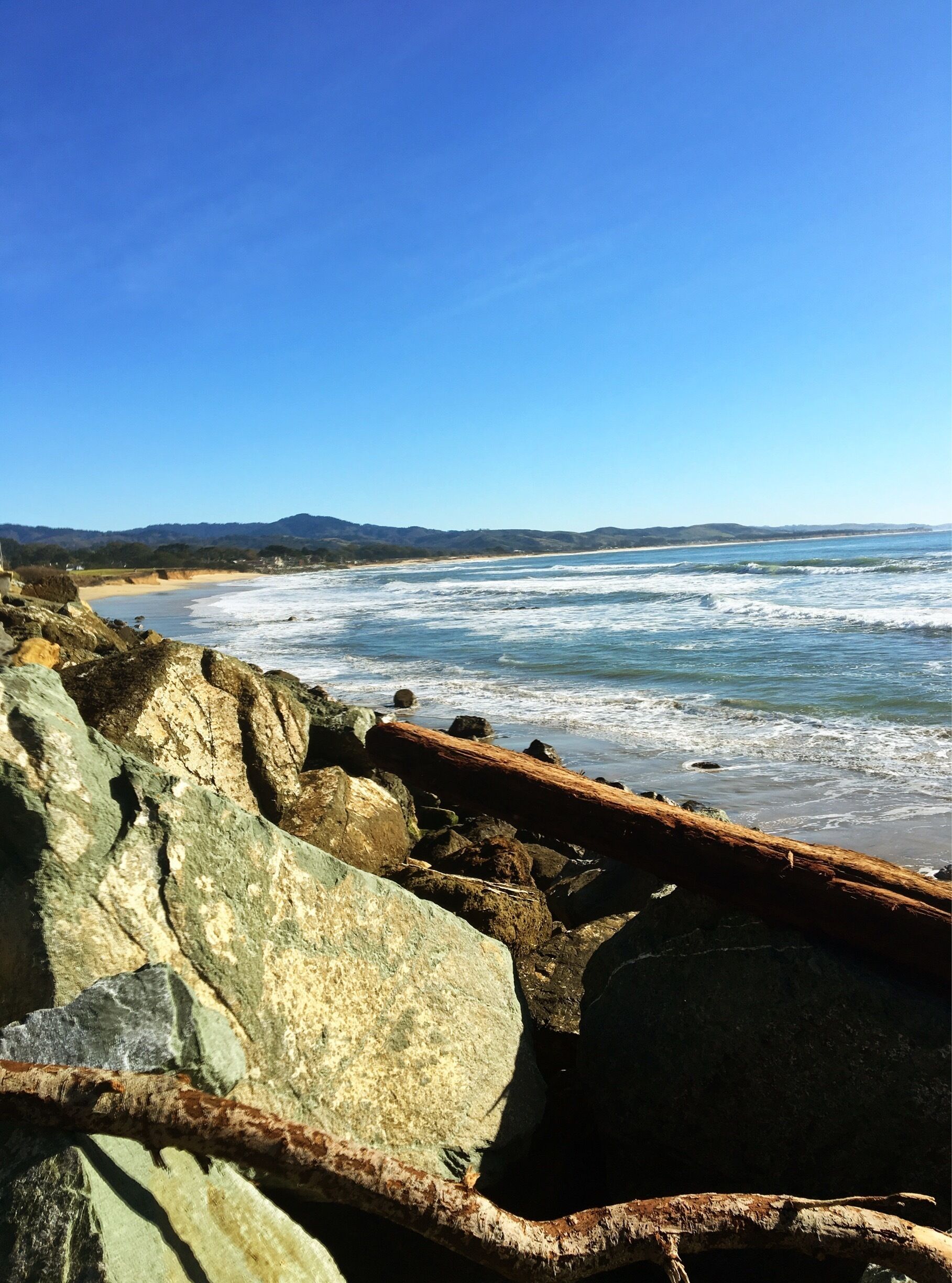 #beachbound #lifeatexpedia #gnomads #beach 