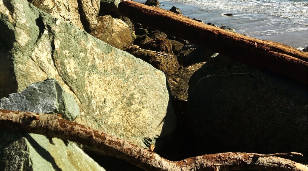 #beachbound #lifeatexpedia #gnomads #beach