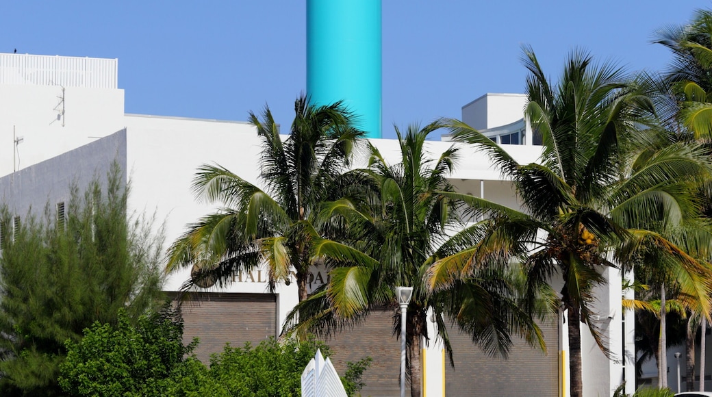 Hallandale water ball