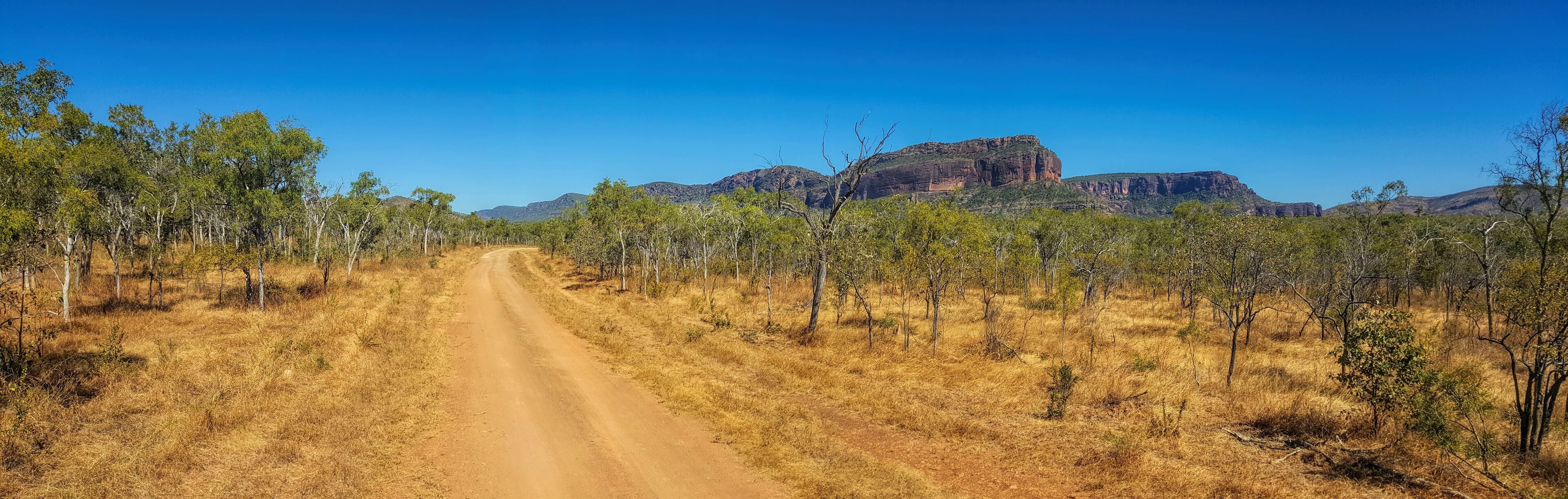 Mount Mulligan road and natural bush