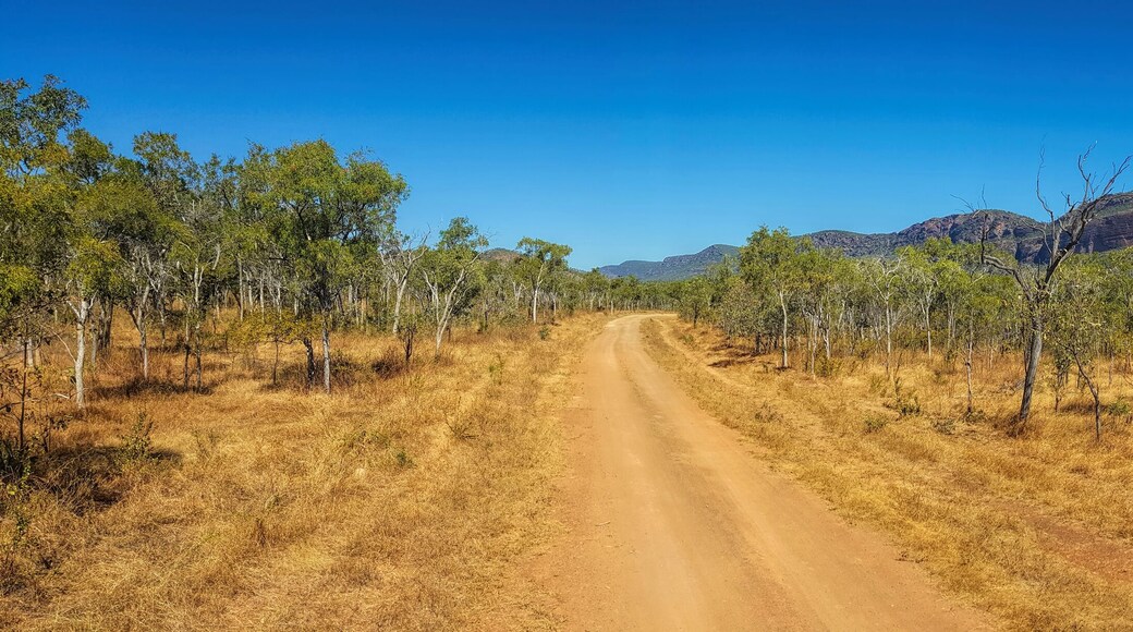 Mount Mulligan road and natural bush