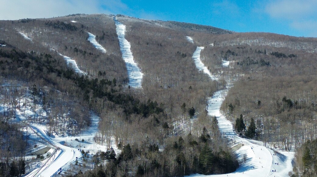 ์ค์ผ๋ชจ ๋ง์