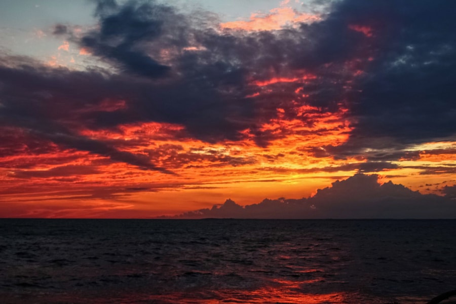 Sunset over looking lake erie