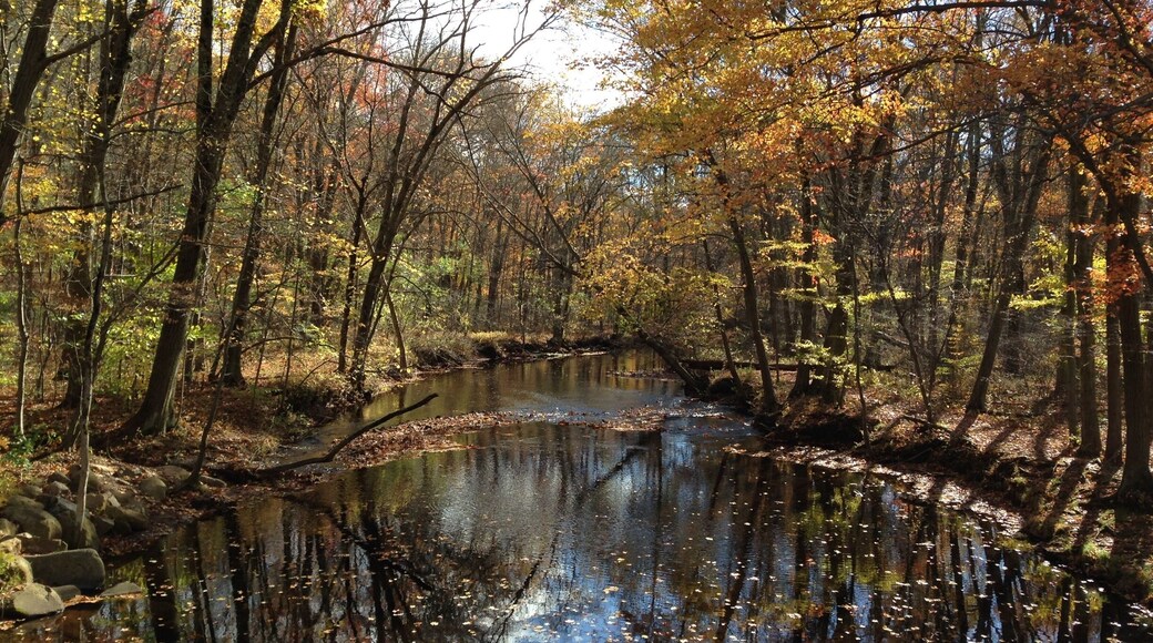 One of the best mountains for hiking in CT. Dog friendly, easy to difficult trails. Beautiful all year round.