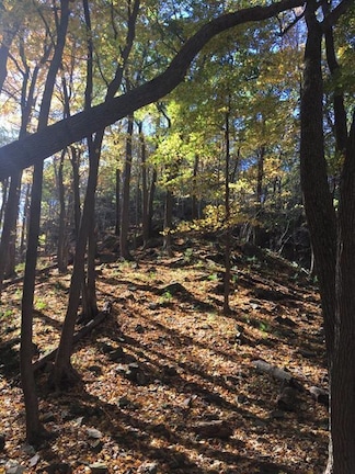 #TakeAHike
First experience with real hiking and fall leaves. Gorgeous!