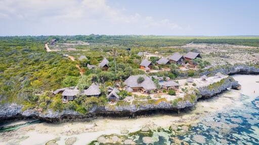 Experience the breathtaking view of Mtende Beach in Zanzibar, Tanzania, and enjoy a relaxing day by the ocean. The beach view will take your breath away and create unforgettable memories of your time