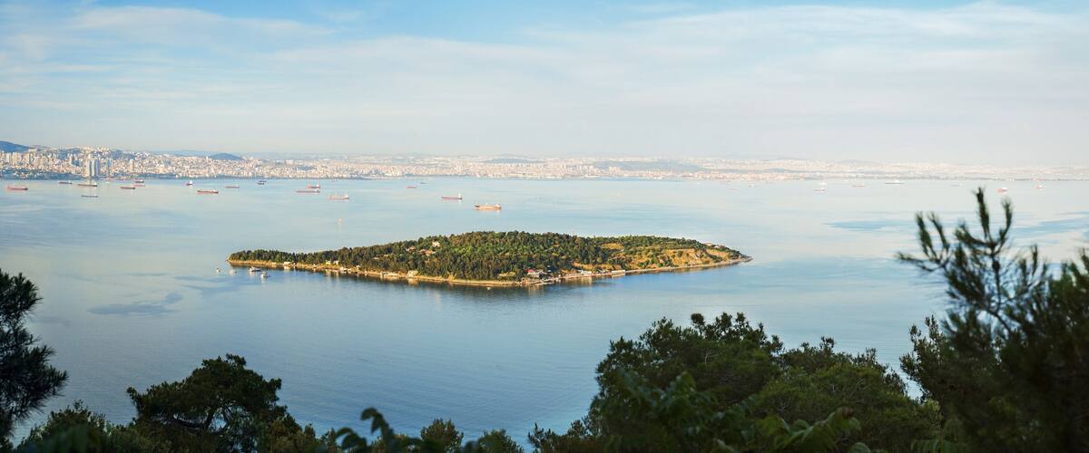 A coastal cityscape with a prominent island in the foreground.