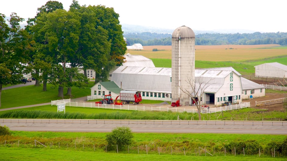 A farm with a silo, barns, and a tractor.