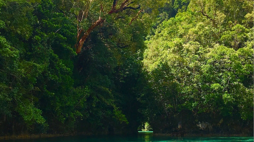 💧🌊🌏#springfun