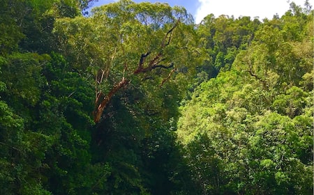 Cheap flights from New Orleans to Cagayan de Oro (MSY to CGY