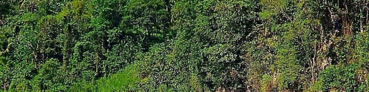 Since this is our first time in river rafting we choose the beginner’s course (2-3hours actual river run, 12kms ride, 14 rapids)