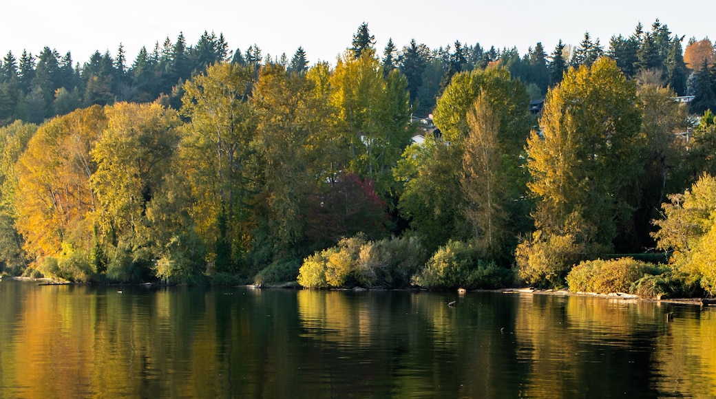 Un lago tranquilo rodeado de árboles con follaje otoñal.
