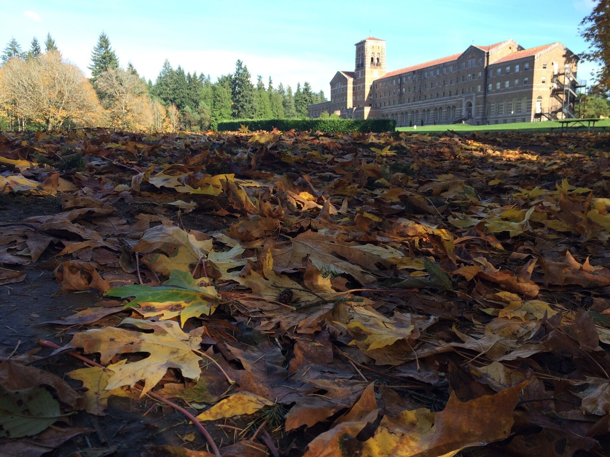 One of my favorite places to hike when I can't get out of the city is St Edward State Park.  Miles of hiking trails.