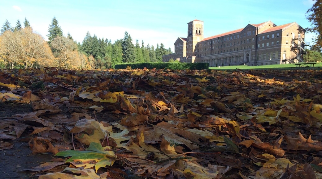 One of my favorite places to hike when I can't get out of the city is St Edward State Park. Miles of hiking trails.