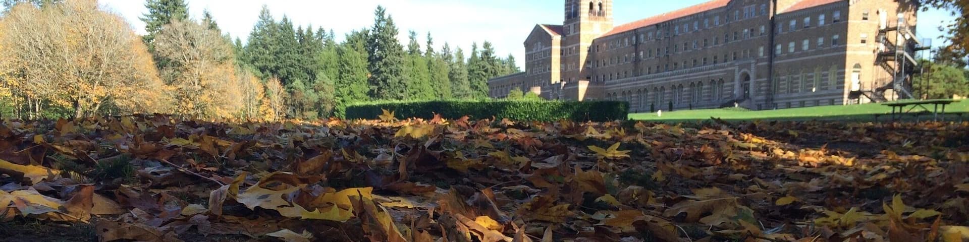 One of my favorite places to hike when I can't get out of the city is St Edward State Park. Miles of hiking trails.