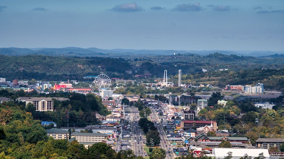 A cityscape with a Ferris wheel, a tall tower, and a dense forest in the background.