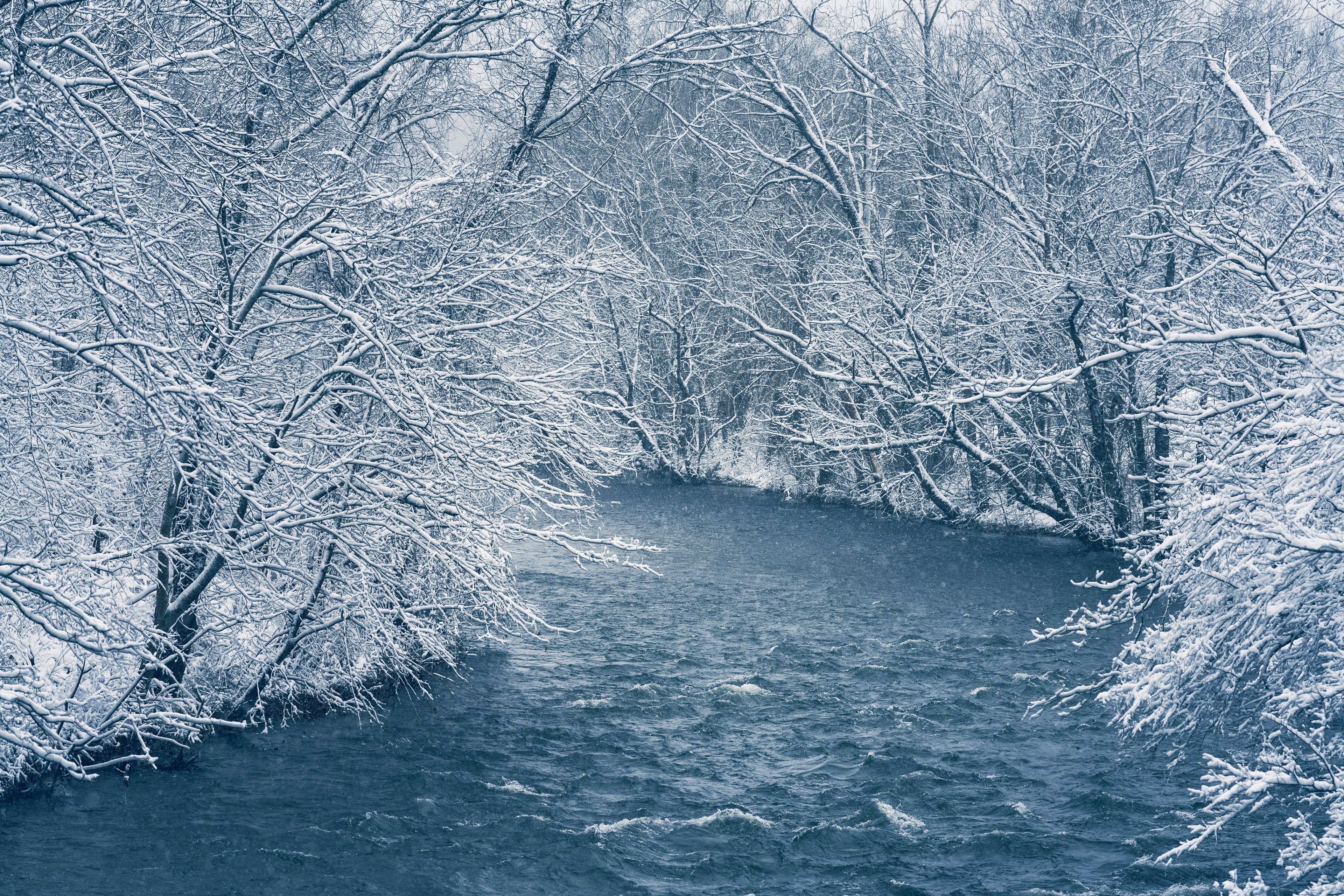 Un río cubierto de nieve flanqueado por árboles densos y sin hojas.