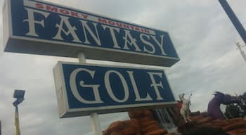 Smoky Mountain Fantasy Golf in Pigeon Forge, TN. A fairly standard mini-golf scenario with the fiberglass mountain and waterfall with the additional whimsy of a Pegasus and other mythological creatures dotting the course. Certain holes did have a wheel of chance to spin that would land various handicaps on your opponent for the hole.