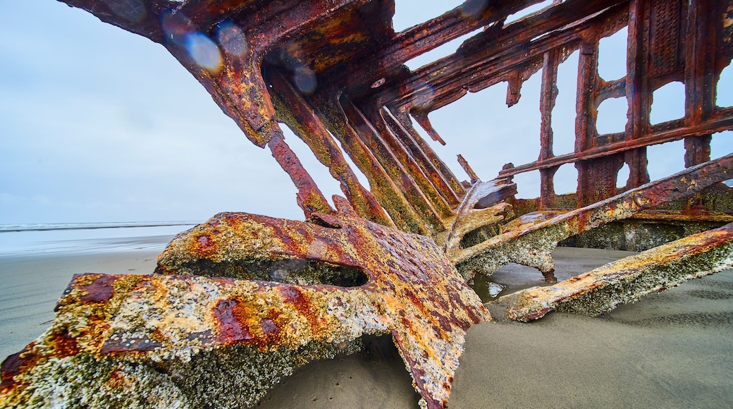 Corroded Shipwreck on Sandy Beach Close-Up in Hammond Oregon