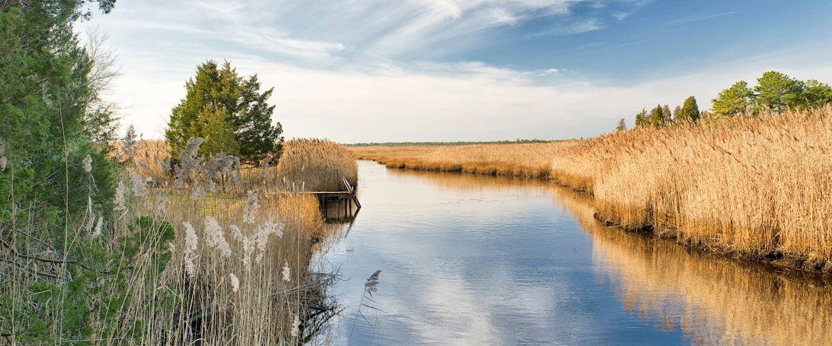 New Jersey  Pinelands