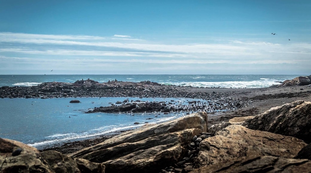 Beautiful beaches at Hampton Beach!!!