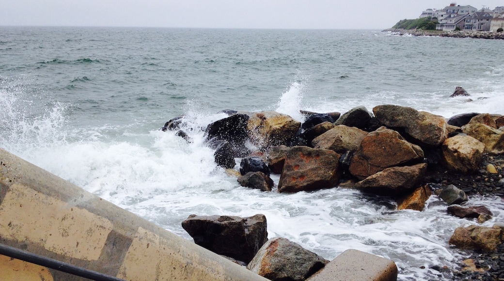 I could watch the waves come in for hours.