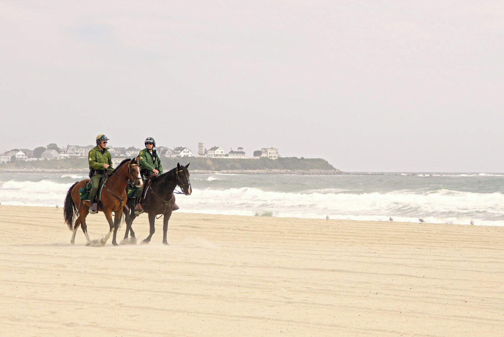 Two mounted police officers on the beach
#LifeAtExpedia