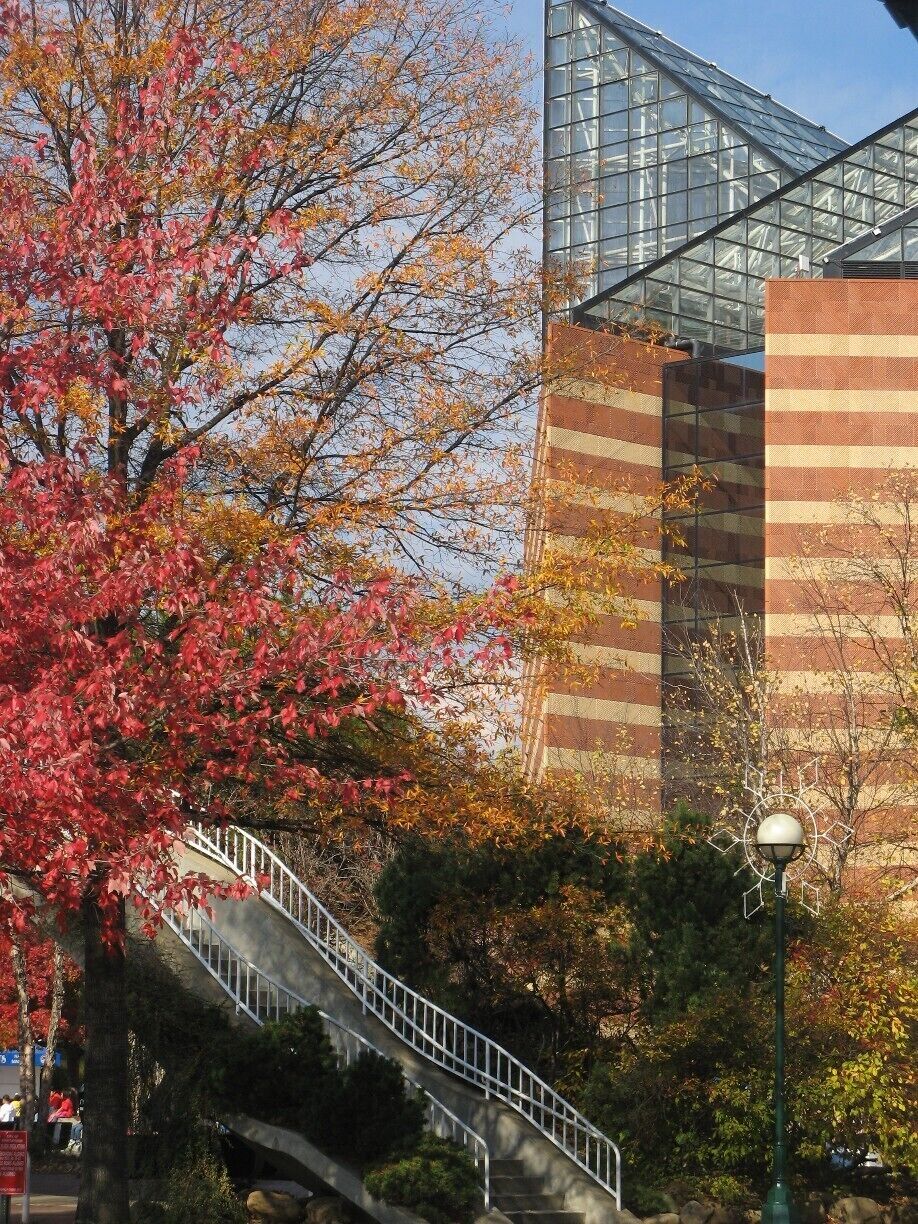 The Tennessee Aquarium in Chattanooga.  An amazing aquarium, you can easily spend a day exploring it.