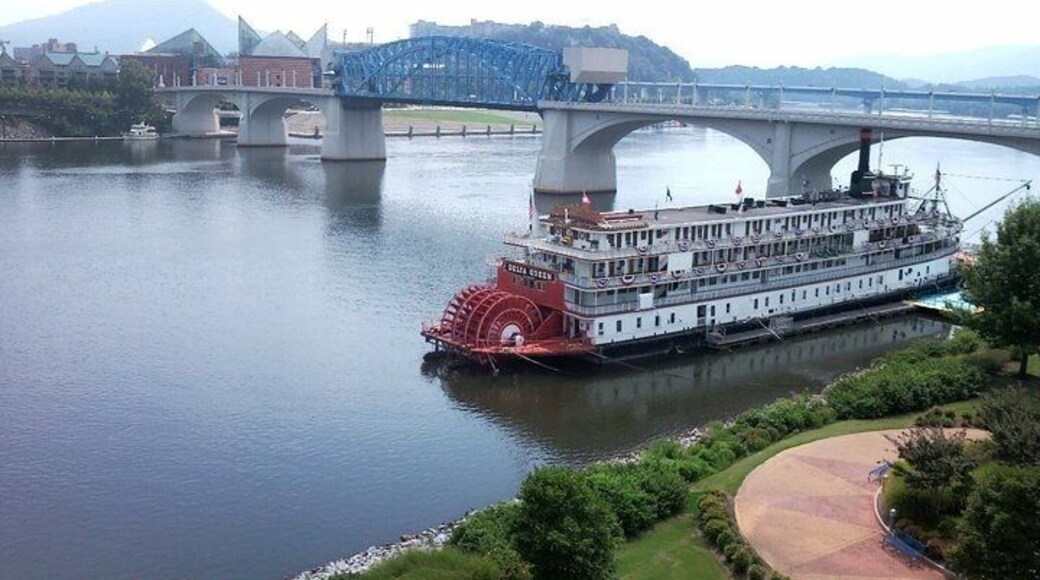 Taken from the Walnut street walk bridge.